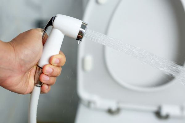 Bidet Installation in Saint George