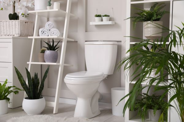 Cost of Toilet Repair in Saint George