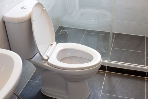 Toilet Replacement in Saint George