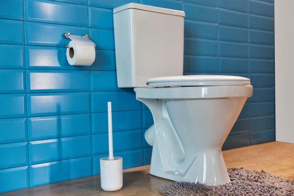 Cost of Toilet Tank Repair in Saint George