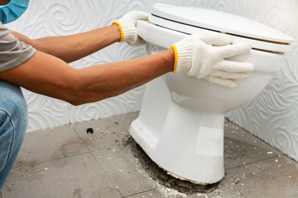 Cost of Toilet Removal in Saint George